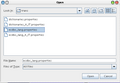 OpenFileLang.png